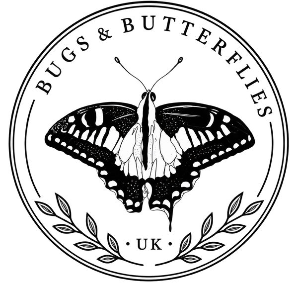 Bugs & Butterflies UK