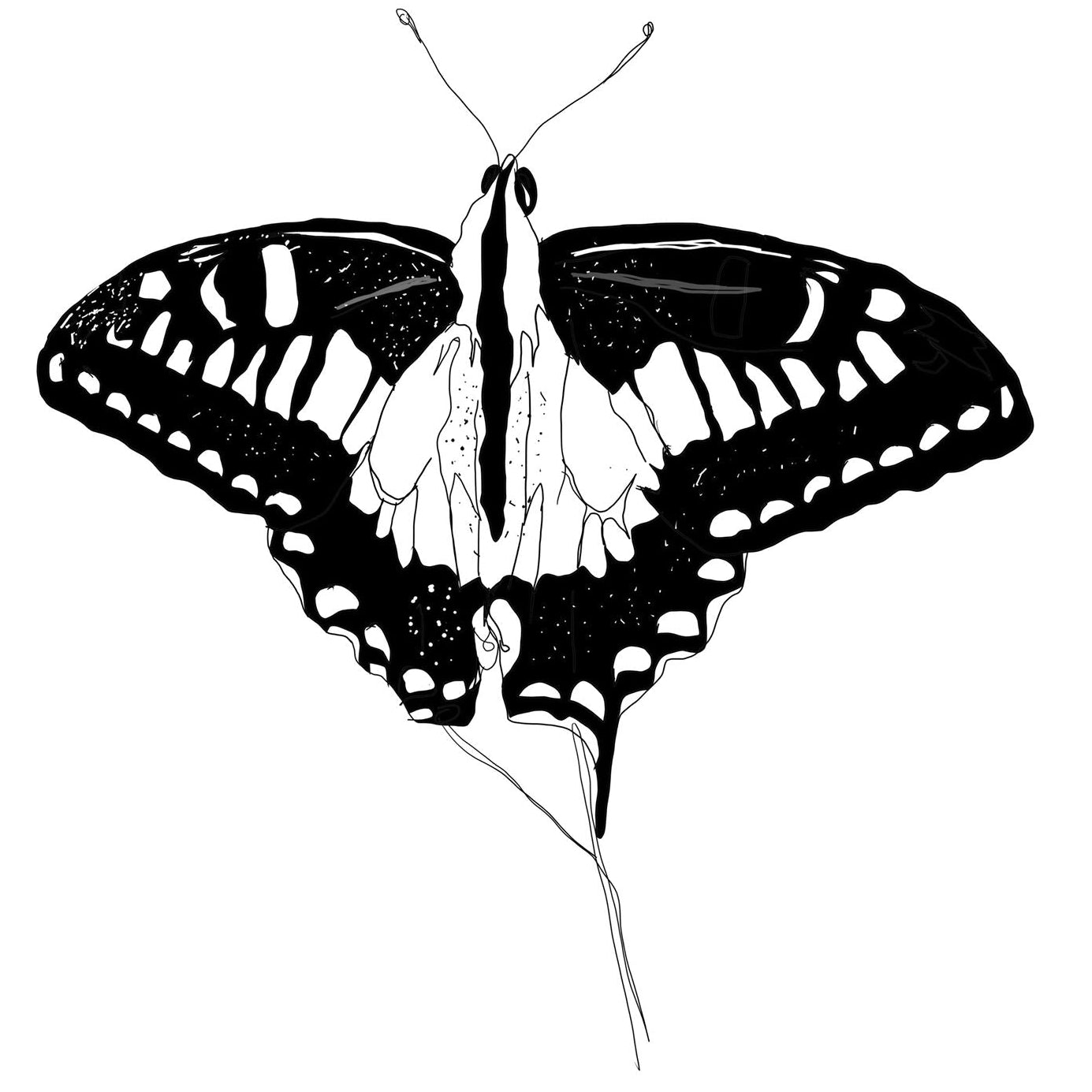 Bugs & Butterflies UK | £10 Gift Card